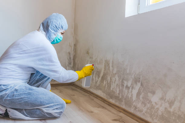 Licensed Commercial Mold Remediation service in Roslyn, NY - WQB Mold Removal