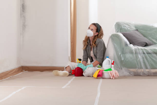 Reliable Commercial Mold Remediation contractor in Roslyn, NY by WQB Mold Removal
